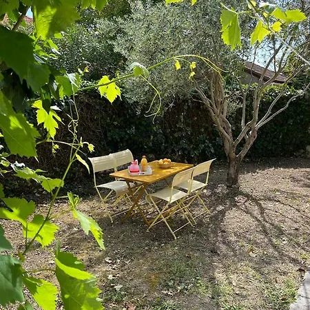 Maison De Charme Avec Jardin Apartamento *